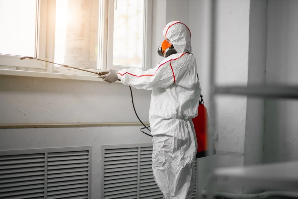 Professional mold remediation services in Sweet, ID